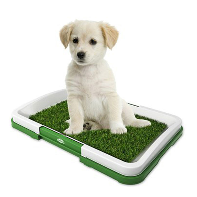 Mata do trawy Indoor Pet Potty Tray